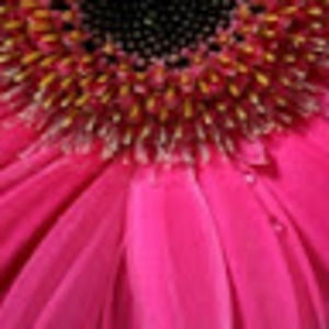 Meet your Posher, Ms.